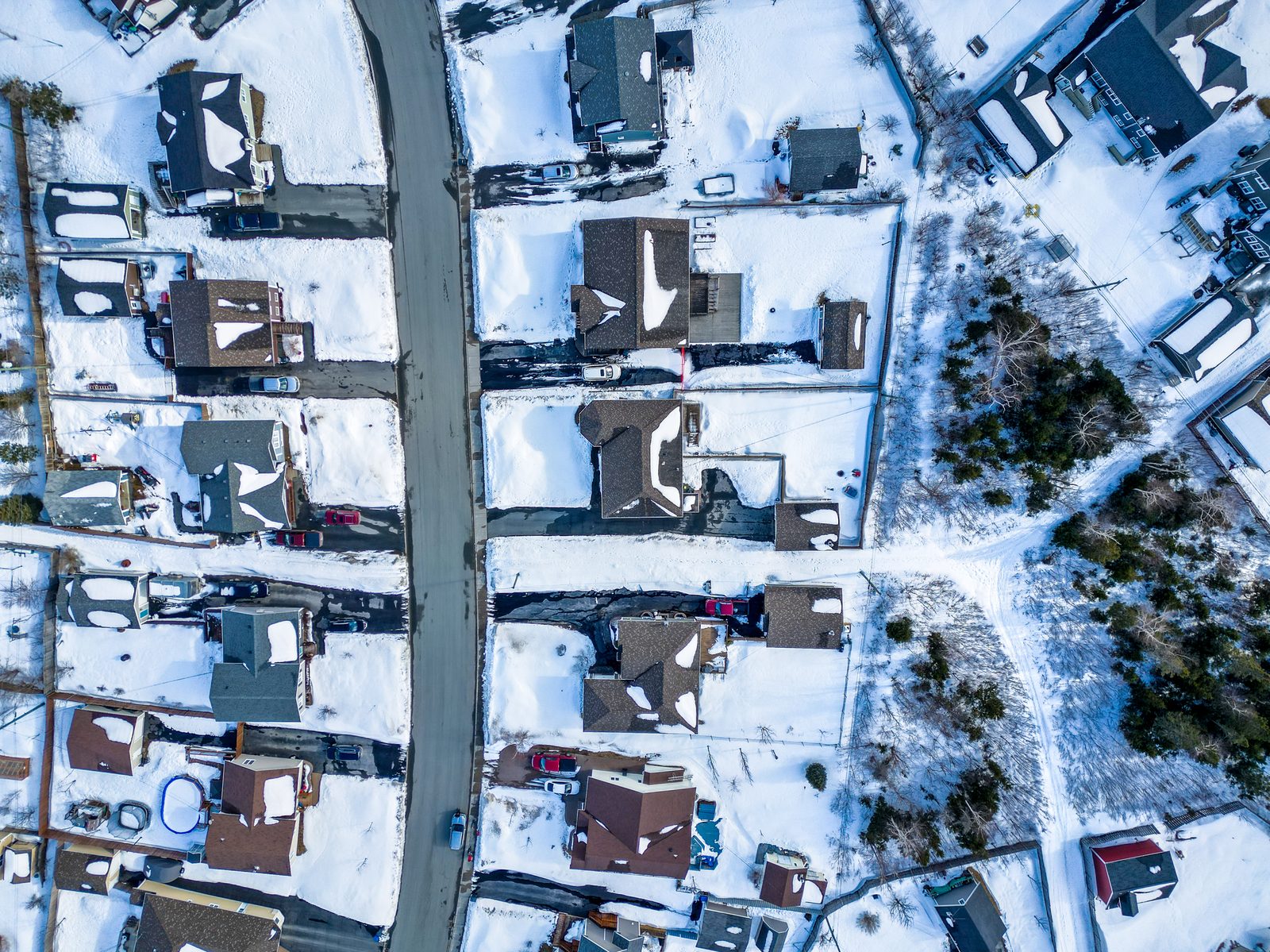 Residential neighbourhoods near 9 Wing Gander — tree-lined streets with homes and seasonal scenery